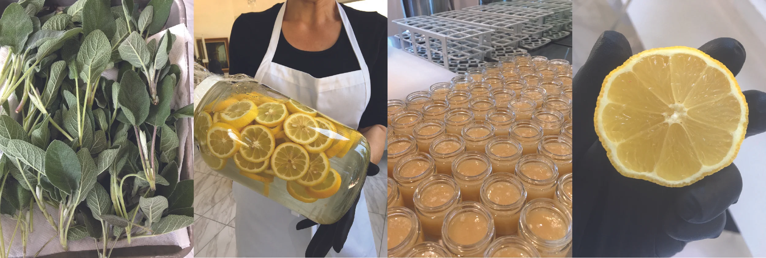 Bradley Beauty Products banner showing herbs, lemons, jars, and natural ingredients