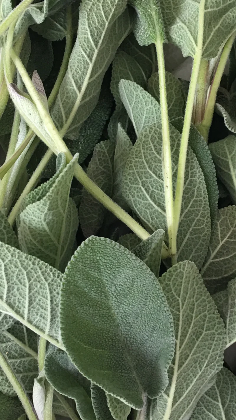 All-natural sage mist