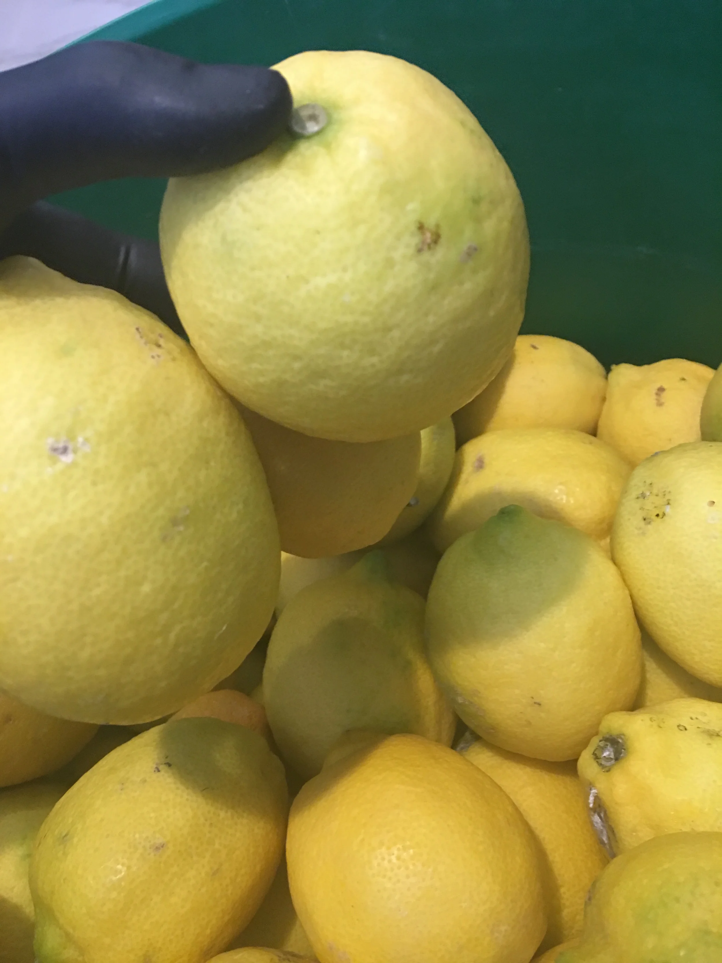 All-natural sugar, lemon, honey scrub